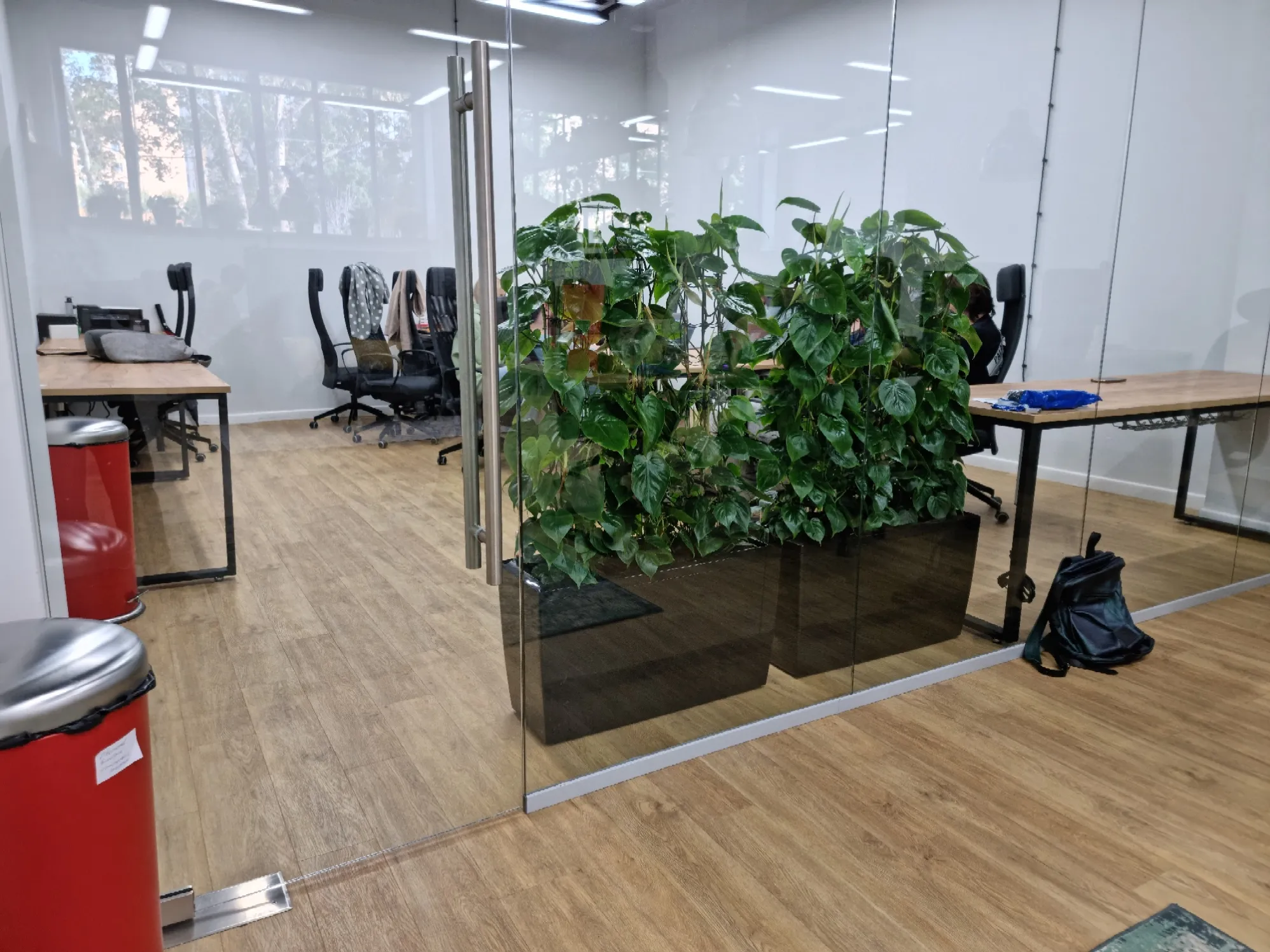 Озеленение офиса Ida Project: филодендрон в кашпо Lechuza Carraro