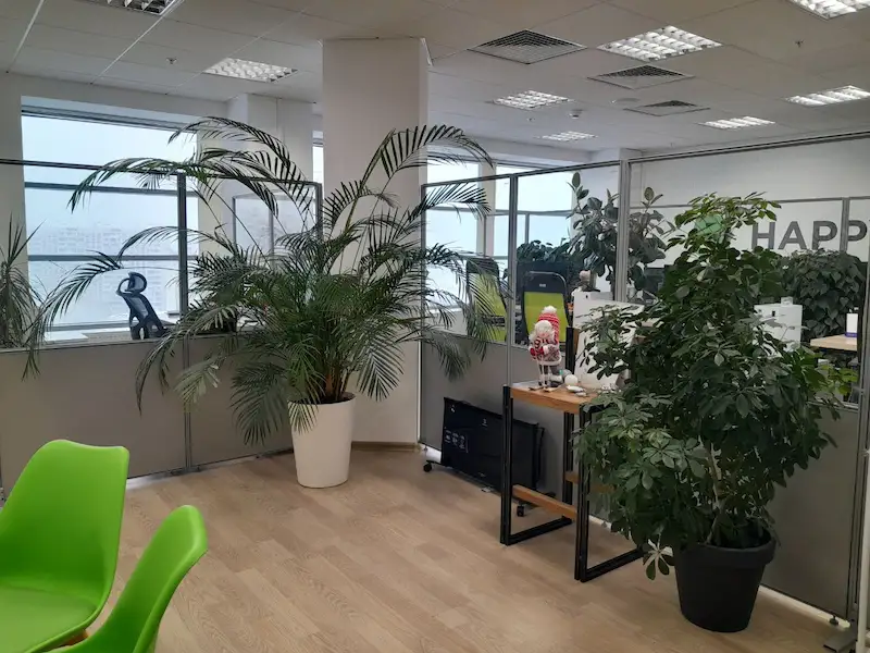 Растения в современном open space офисе