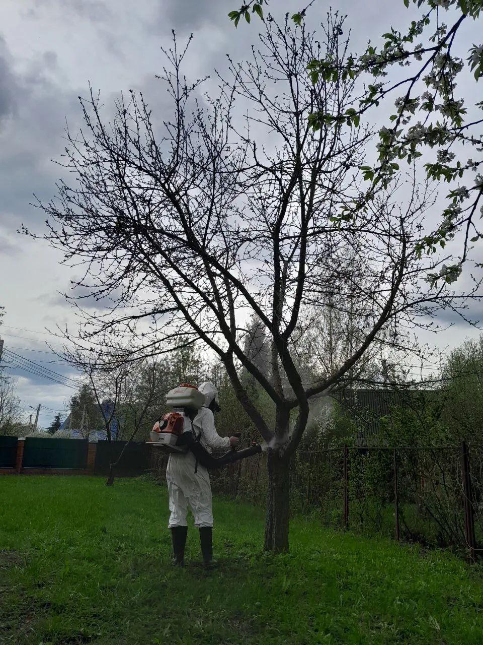 Уход и сезонная обработка сада
